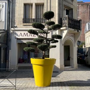 Jardinière Rond Déco