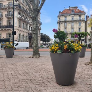 Jardinière Vase