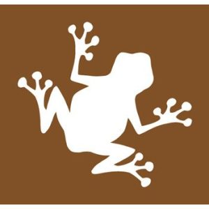 Pochoir grenouille