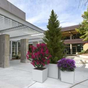 Jardinière Koniq