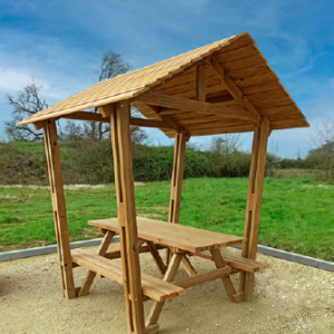 table pique nique forestiere couverte