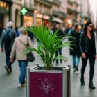 JARDINIERE IN SITU