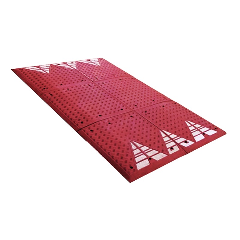 COUSSIN BERLINOIS SPEED CUSHION BUFFHYERES COLLECTIVITES