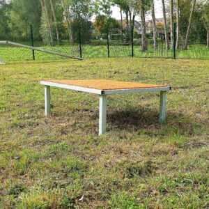 CANIPARC LA TABLE BUFFHYERES COLLECTIVITES 2