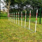 CANIPARC SLALOM BUFFHYERES COLLECTIVITES