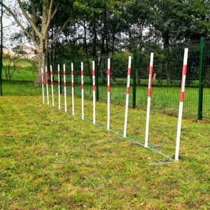 CANIPARC SLALOM BUFFHYERES COLLECTIVITES