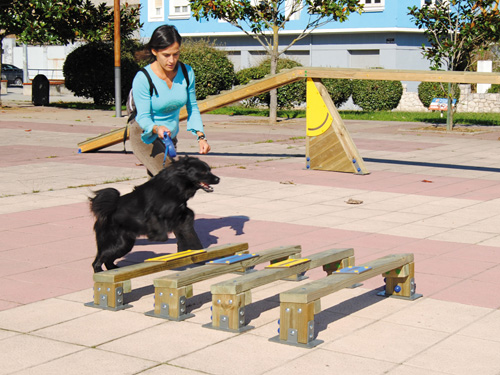 DA503 PARCOURS CANIN AGILITY BUFFHYERES COLLECTIVITES 3 - Buff'Hyères Collectivités DA503 PARCOURS CANIN AGILITY BUFFHYERES COLLECTIVITES 3